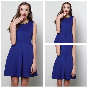 Forever 21 Sleeveless Stretch Fit and Flare Dress
